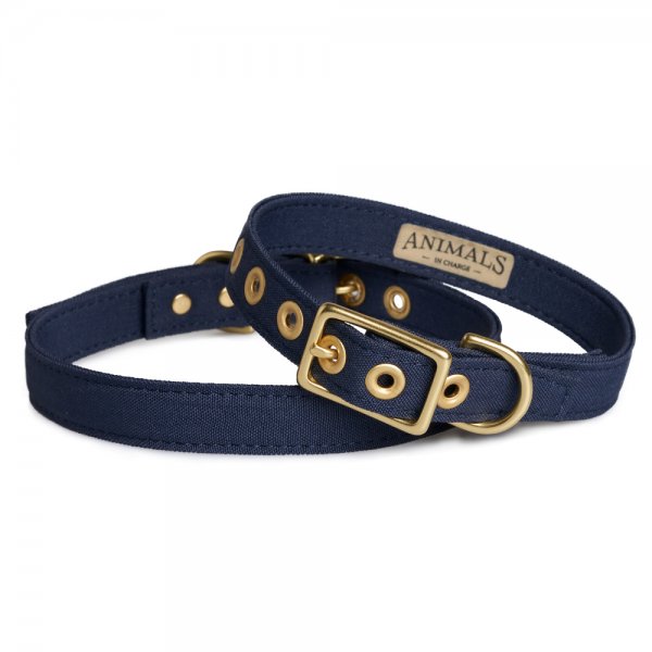 Animals in Charge Dog Collar - Navy and Brass All Weather - ARTISAN ...